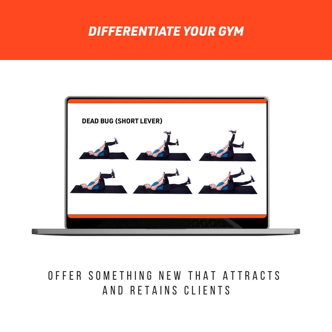 Online Group Training Course