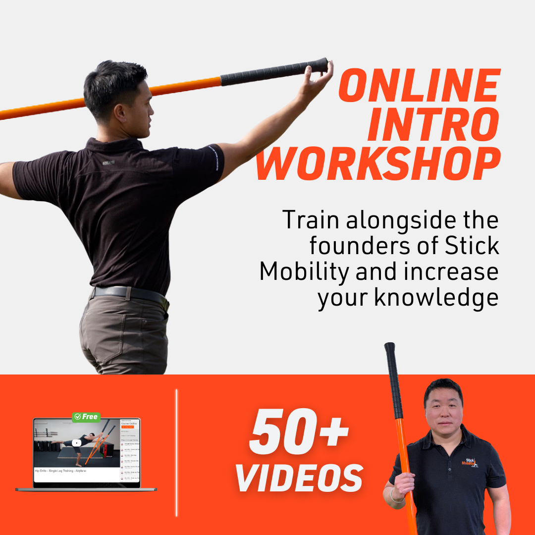 Advertisement for an online workshop on Stick Mobility with a person holding a bat and text about training and videos.