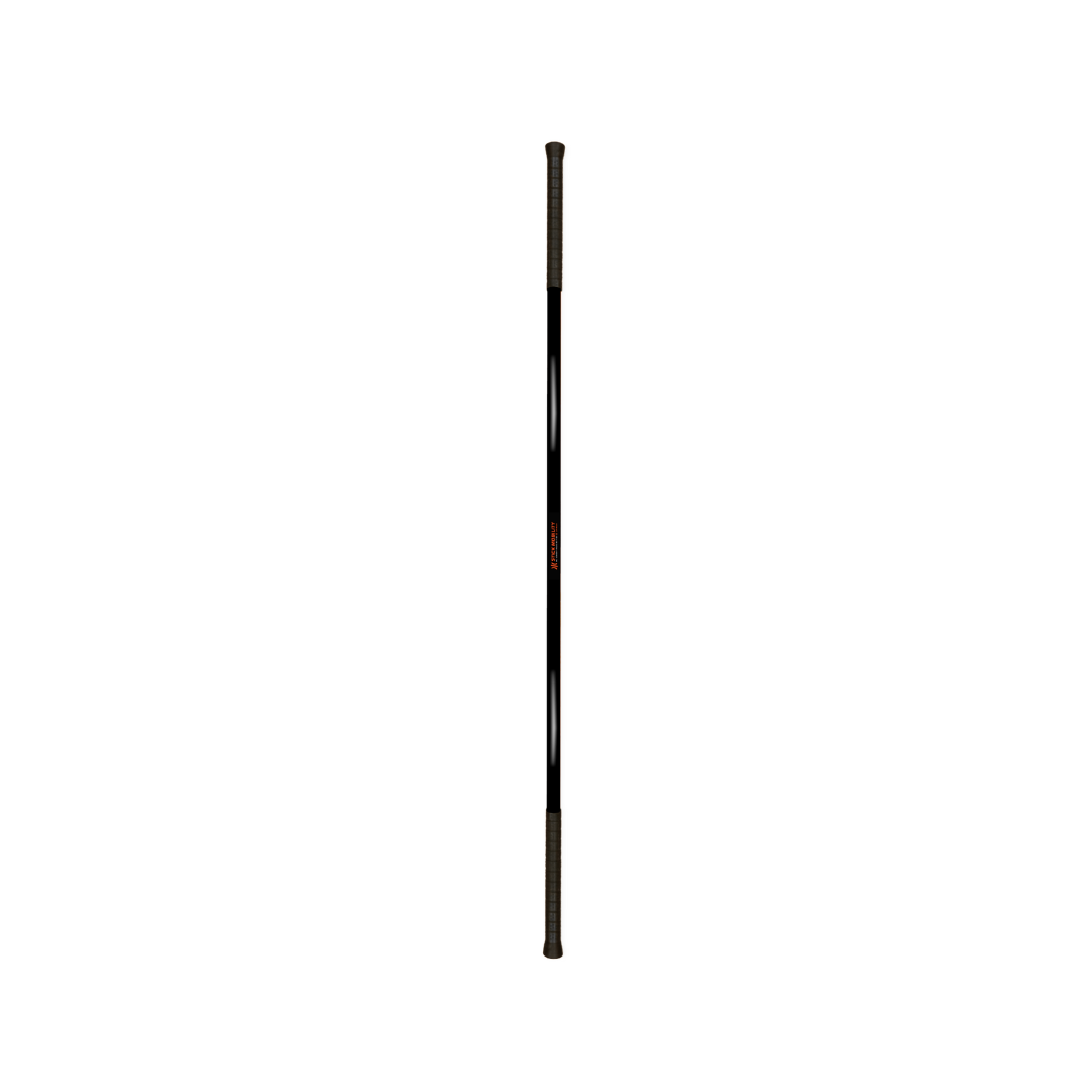 Black cane on a white background