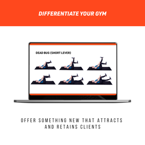 Online Group Training Course
