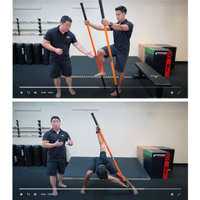 Two video clips from the stick mobility online introductory workshop.