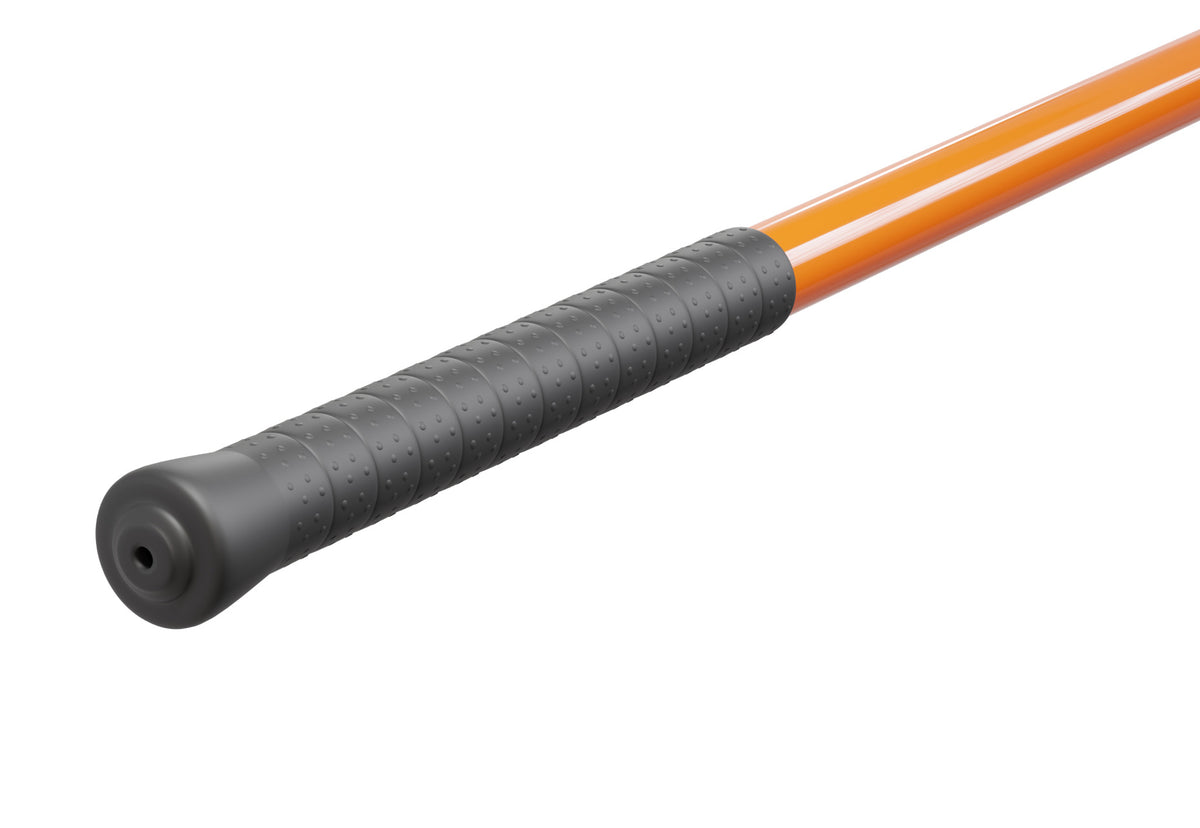 5 Reasons to Use Stick Mobility