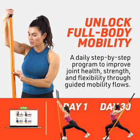 Training Stick Bundle