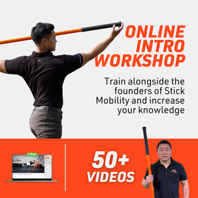 Training Stick Bundle