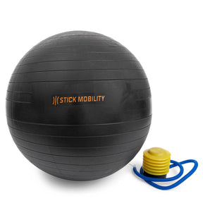 Stick Mobility Exercise Ball and pump