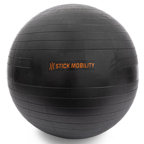 Front view of the Stick Mobility Exercise Ball