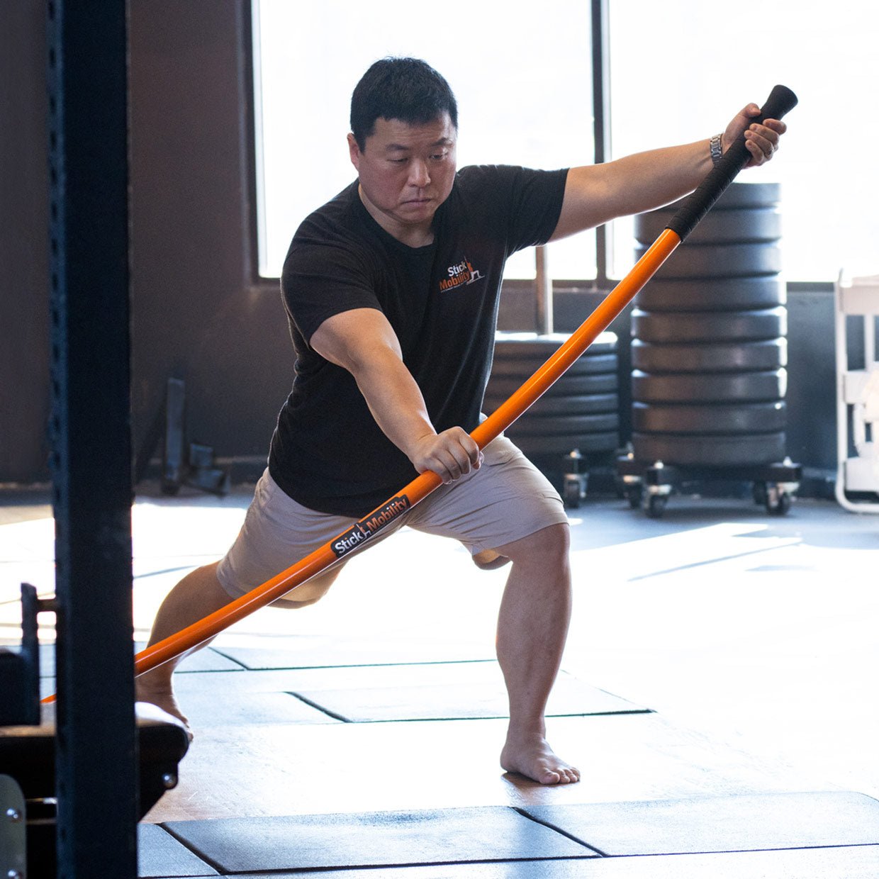 Online Certification-Level 1 - Stick Mobility US