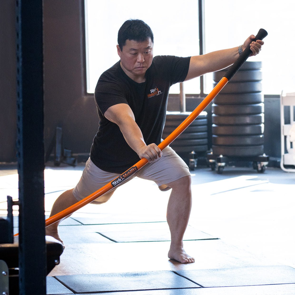 Online Certification-Level 2 - Stick Mobility US